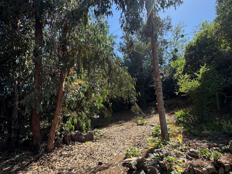 Parcela a la venta en La Reina